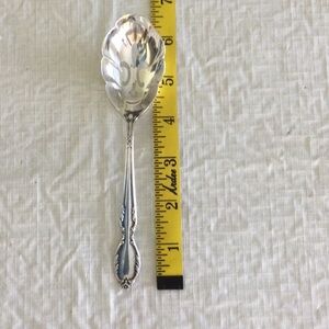 Elegant Silver Serving Spoon